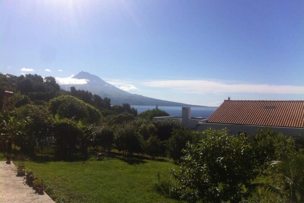 Summer House With Bbq And Garden Horta  Eksteriør billede