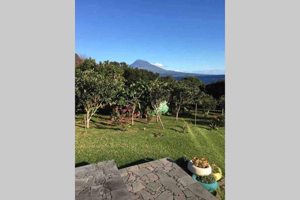 Summer House With Bbq And Garden Horta  Eksteriør billede